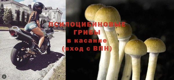 PSILOCYBIN Сосновоборск