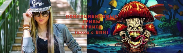 таблы Арсеньев